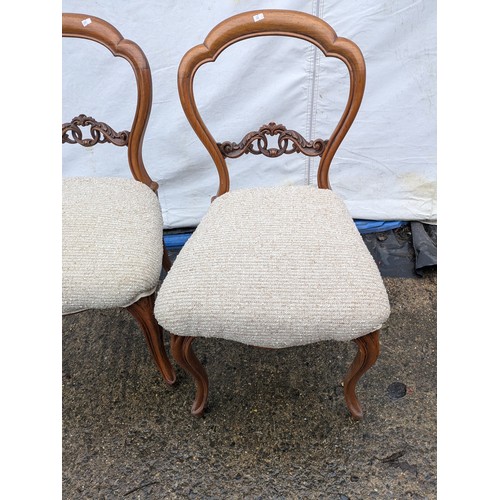 245 - A Pair of Victorian Walnut Chairs With Ornate Design And Carved Features - Upholstered Base