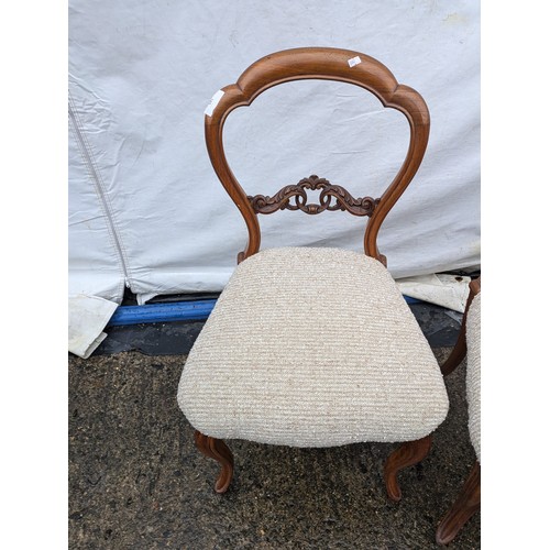 245 - A Pair of Victorian Walnut Chairs With Ornate Design And Carved Features - Upholstered Base