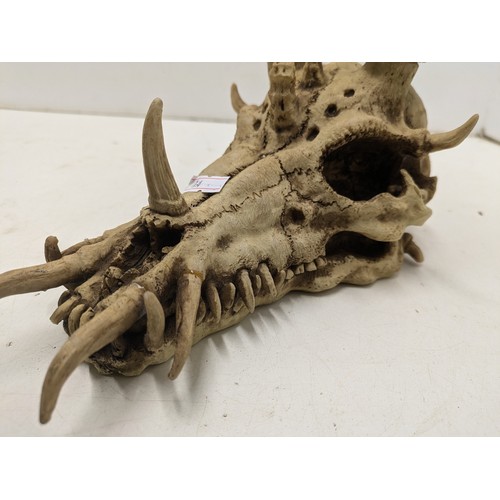 2167 - A replica dragon skull statue