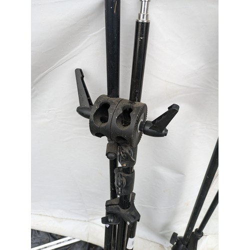 2009 - A Pair of Microphone Stands