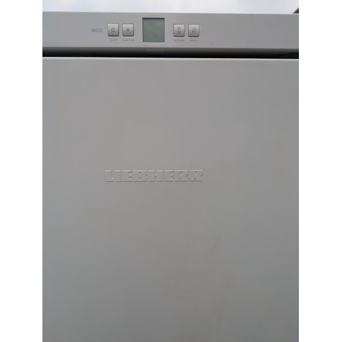 615 - A Liebherr Comfort Large commercial Freezer - Working