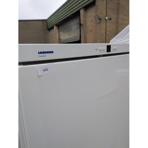 615 - A Liebherr Comfort Large commercial Freezer - Working