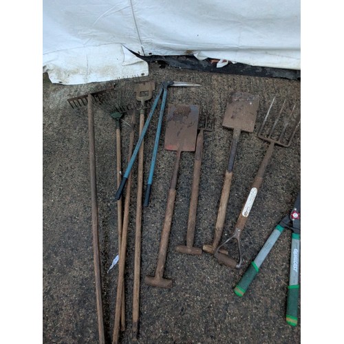 238 - A large selection of garden tools including spades shovels forks etc