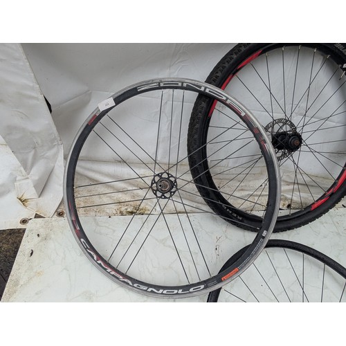 222 - A selection of road/mountain bike wheels including a 29 inch voodoo wheel with kenda tyre