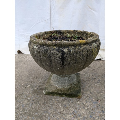 17 - A pair of concrete flower pots