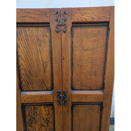 625 - A charming early 19th century wardrobe with wrought iron hinges and latches, internal dressing mirro... 