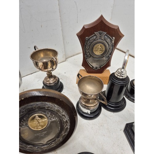 1019 - A selection of various trophies circa 1920s. Including some silver plated cups.