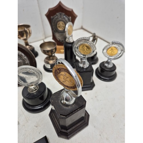 1019 - A selection of various trophies circa 1920s. Including some silver plated cups.