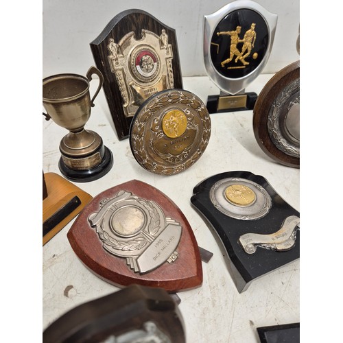 1019 - A selection of various trophies circa 1920s. Including some silver plated cups.