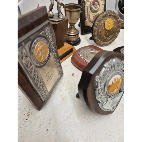 1019 - A selection of various trophies circa 1920s. Including some silver plated cups.