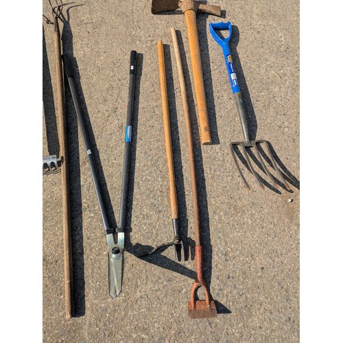 244 - A large quantity of garden tools, including forks, rakes, spades etc