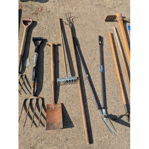 244 - A large quantity of garden tools, including forks, rakes, spades etc