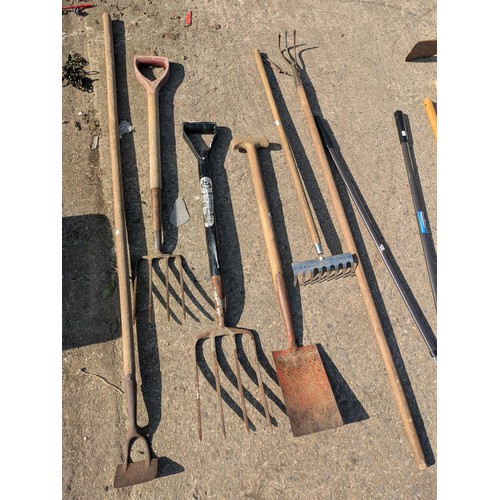 244 - A large quantity of garden tools, including forks, rakes, spades etc