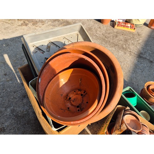 216 - Large selection of plastic and terracotta garden pots