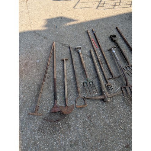 219 - Selection of garden tools including forks, rakes, pickaxe etc