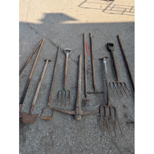 219 - Selection of garden tools including forks, rakes, pickaxe etc