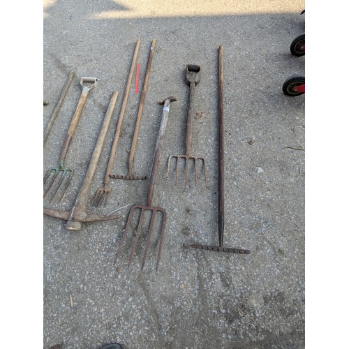 219 - Selection of garden tools including forks, rakes, pickaxe etc