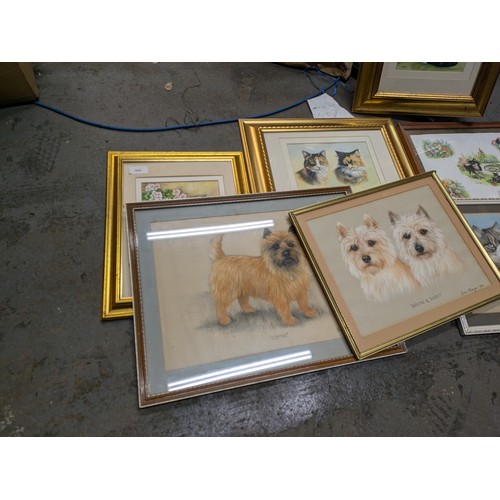 1809 - A large selection of paintings and prints of cats and dogs by H C Babington