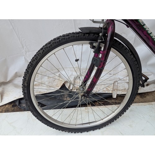 99 - A Emelle Panther ladies mountain bike