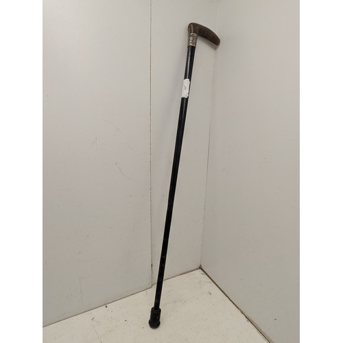 927 - N antique walking stick with a silver collar and bone handle