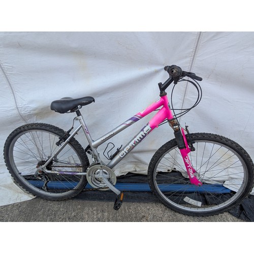 204 - Optima solano, girl's mountain bike