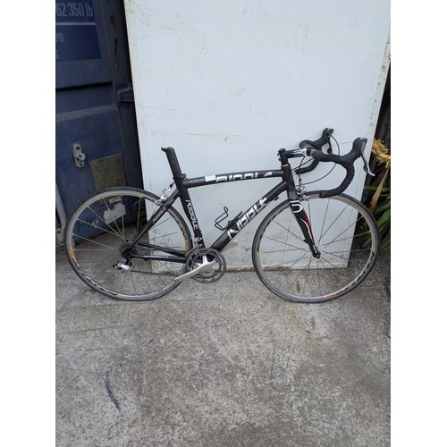 Lot 1         