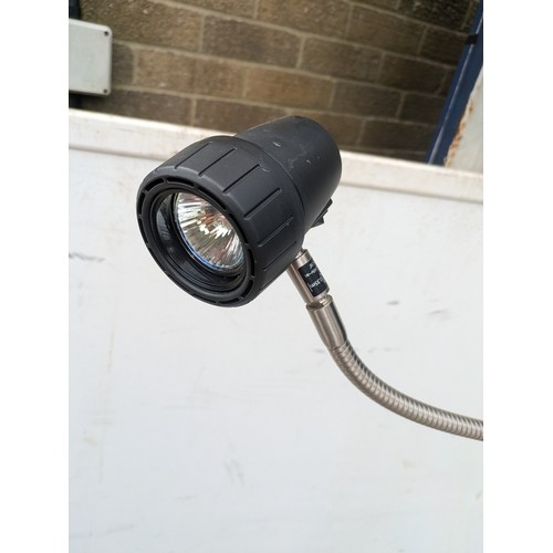 651 - A serious readers floor standing adjustable reading light