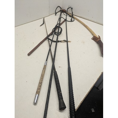 A selection of riding crops