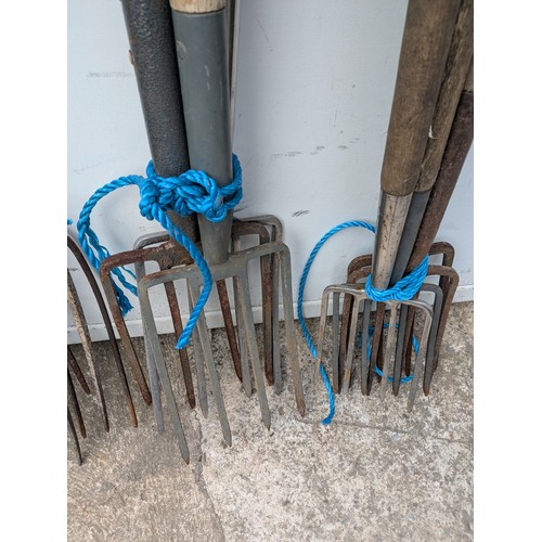 19 - A large quantity of garden forks