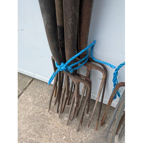 19 - A large quantity of garden forks