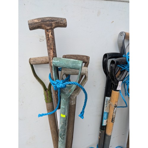 19 - A large quantity of garden forks