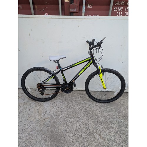 Lot 51        