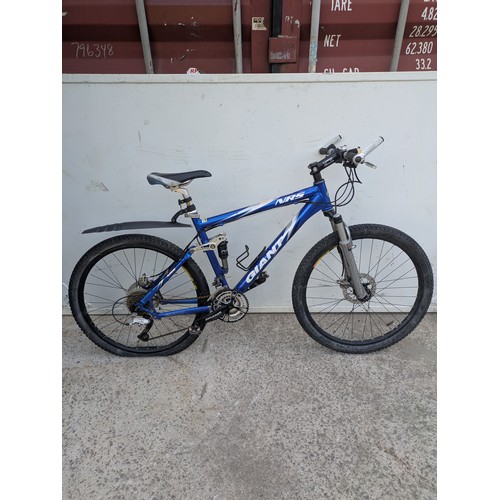 Lot 49        