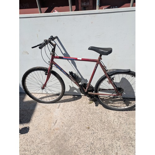 Lot 75        