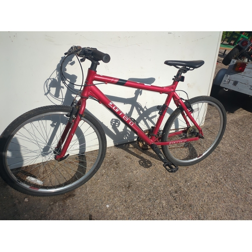 Lot 20        