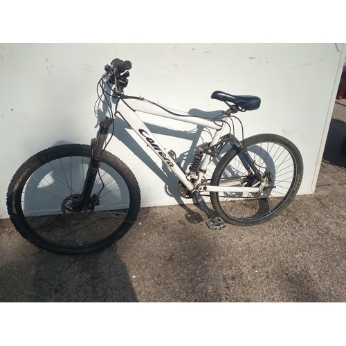 Lot 35        