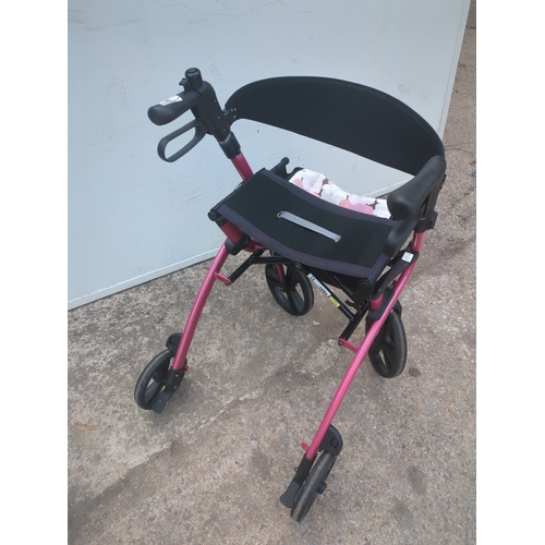 250 - A collapsible mobility frame
