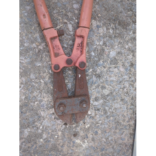 251 - A pair of bolt cutters