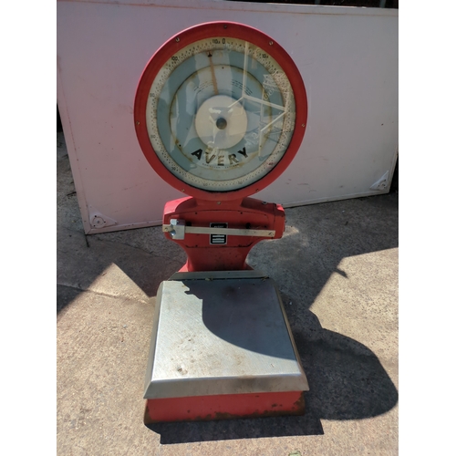 Lot 24        