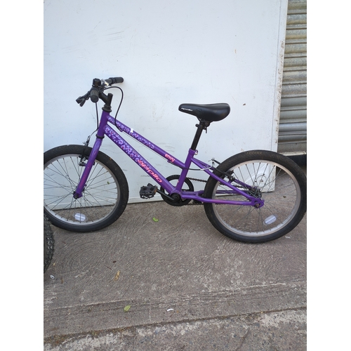 223 - Apollo Envy and Apollo Firecracker Bikes