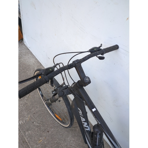 231 - Giant Boulder Bike