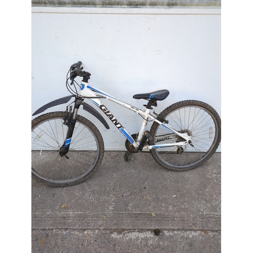 Lot 232       