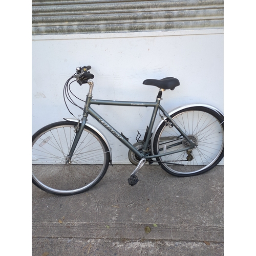 Lot 234       