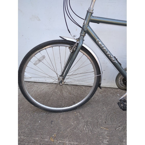 234 - Giant Expression LX Bicycle