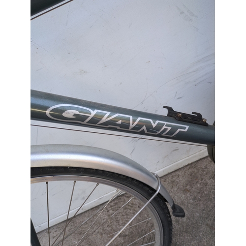 234 - Giant Expression LX Bicycle