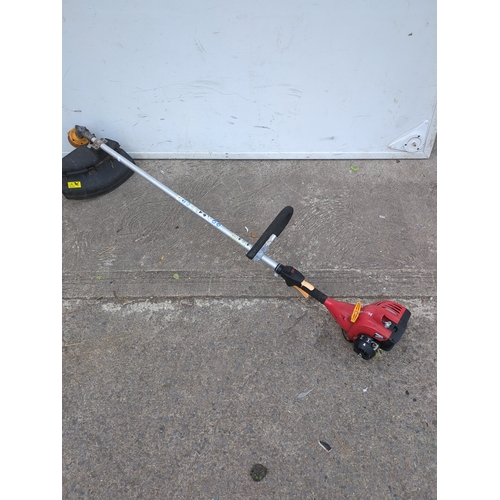 Lot 239       