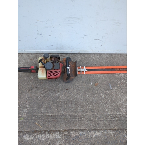 Lot 250       