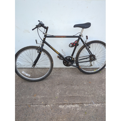 Lot 251       