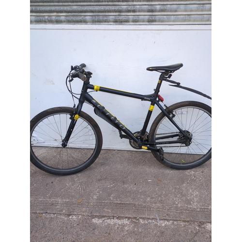 Lot 253       