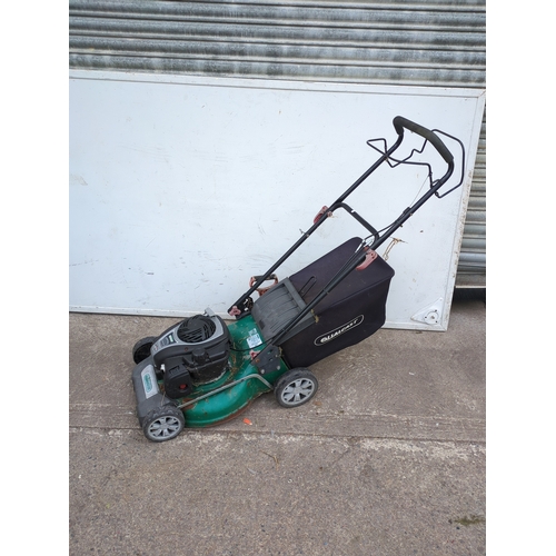 Lot 291       